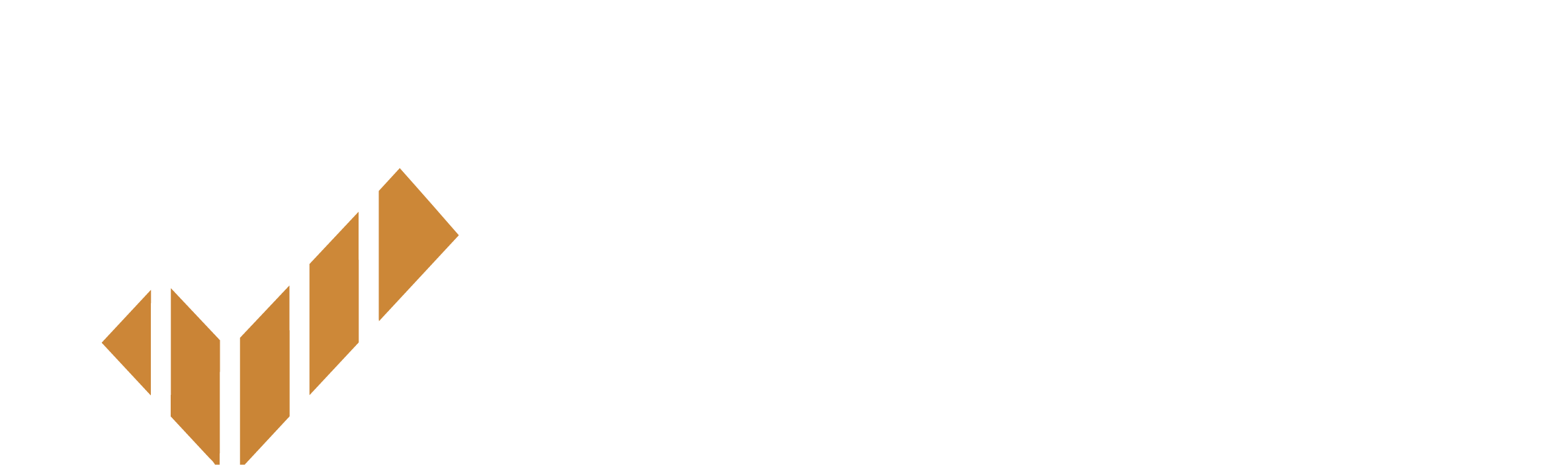 Revisa BPO Financeiro